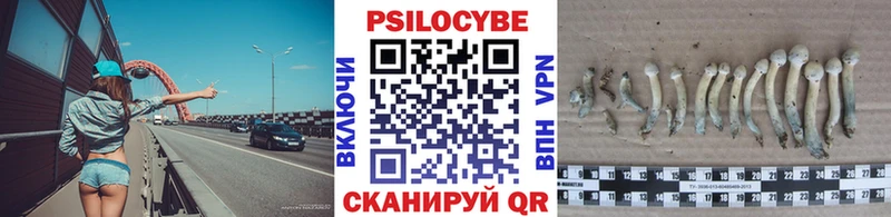 Купить  Волгоград  Псилоцибиновые грибы MAGIC MUSHROOMS 