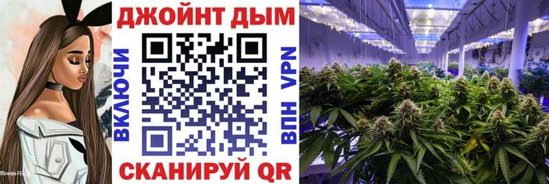 Каннабис Amnesia Волгоград